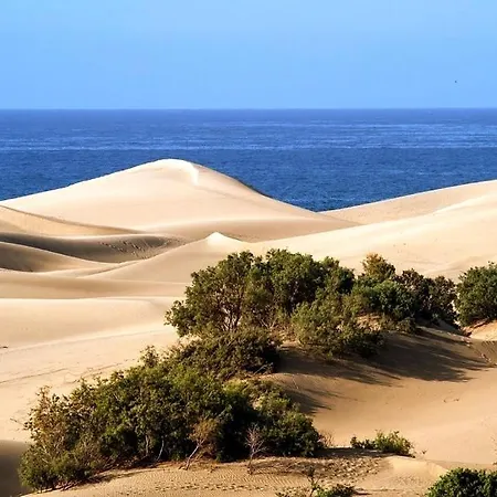 Cozy * Maspalomas (Gran Canaria)